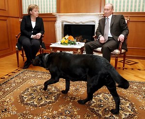 Putin straszył Merkel psem? Była kanclerz komentuje