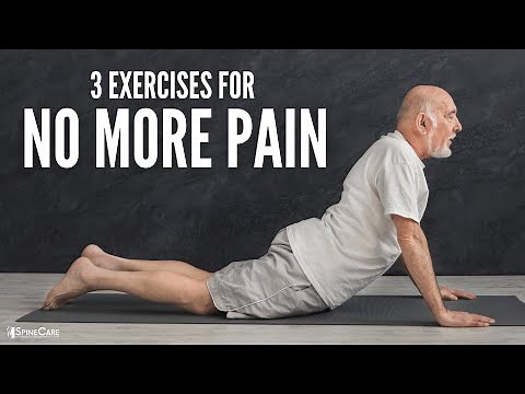 The 3 Best Back Exercises (For NO MORE PAIN)