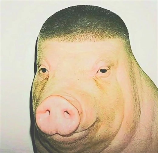 2000’s vibes (@2000s.guy)’s videos with Break Stuff - Limp Bizkit