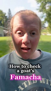 Checking your goat’s famacha is really important! If your goat has a wide worm load, they’ll need dosed with a dewormer asap. #goats #goat #goatlife #famacha #theeastonhomestead #homesteadmama #homesteader #farmer #farmlife #homesteading #farmanimals #livestock #farming #homestead | Hannah Easton