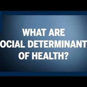 What Are Social Determinants of Health? | Michigan Public Health