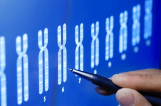 Fragile X Genetic Testing | Fragile X Society | UK