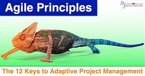 Agile Principles: The 12 Keys to Adaptive Project Management