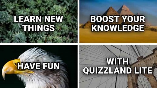 QuizzLand Trivia 🕹️ Play on CrazyGames