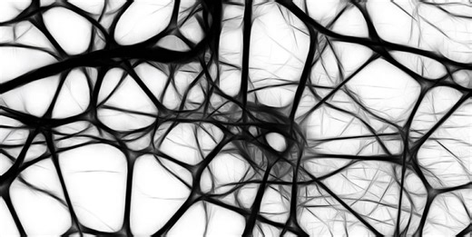 Astrocytes may Explain the Brain's Massive Storage Capacity | Cell And Molecular Biology