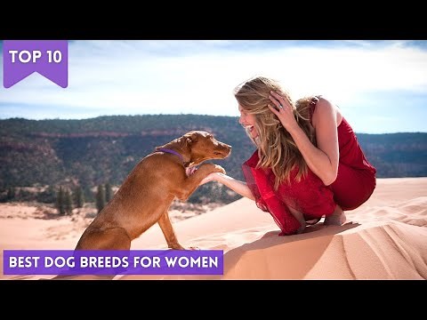 15 Best Dog Breeds for Women : Dog Breeds