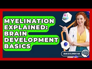 Myelination Explained: Brain Development Basics - Brain Development Hub