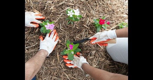 Charitable Foundation funding opportunities from Bank of America