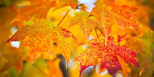 What Is Behavior Change in Psychology? 5 Models and Theories