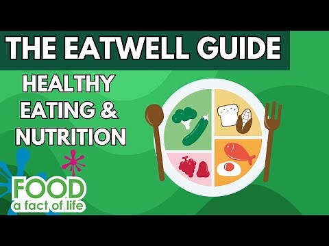 The Eatwell Guide – an in-depth look at healthy eating and nutrition