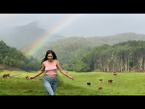 Tropical Living in our Rainforest Cabin: Painting, Building, Sewing and Gardening
