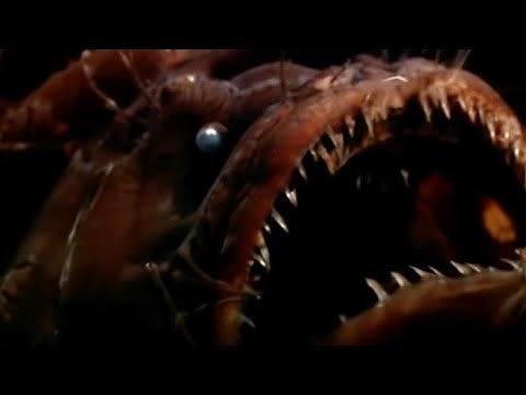 Fangtooth in the Abyss | Blue Planet | BBC Studios