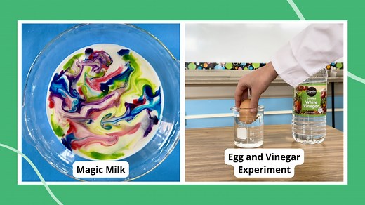 75+ Best Science Fair Ideas for 7th Grade