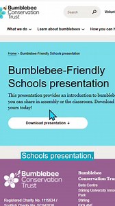 There’s still time to become a Bumblebee-friendly School before the summer holidays. Follow this easy schedule to Buzz towards Bronze in just one school day! 🐝 📲 Get started today by registering your details: https://ow.ly/LbpR50WjAsO | Bumblebee Conservation Trust