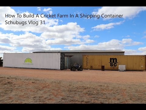 How To Build A Cricket Farm In A Shipping Container / Schubugs Vlog 31