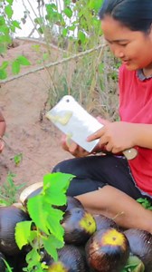 Wow Amazing Cooking | Amazing Cooking