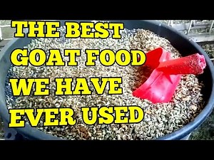 The World's Best Goat Feed - What do I feed my goats?
