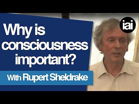 Why is Consciousness Important? | Rupert Sheldrake