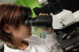 Biomedical Engineering