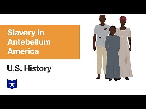 U.S. History | Slavery in Antebellum America