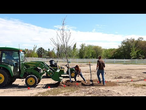 FINALLY Planting 21 Huge Trees on the New Property! 🙌🌳 // Garden Answer