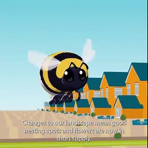 Homeless bumblebee queens are on a mission to find somewhere to nest - and they urgently need your help 🐝 | Bumblebee Conservation Trust