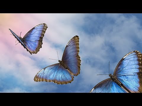 2 Hours of Celtic music, Peaceful music, Instrumental Music "Celtic Light" by Tim Janis