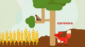 KS1 Science: The food chain