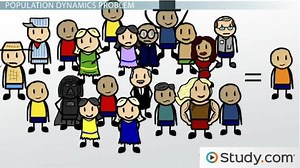 Exponential Population Growth | Formula, Calculation & Examples