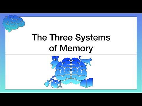 The Three Systems of Memory
