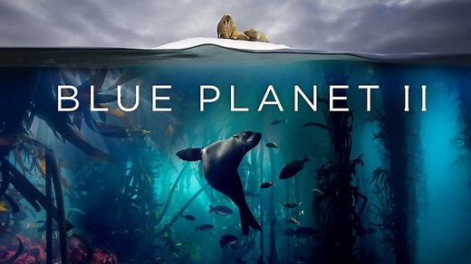 Blue Planet II (2017) | WatchDocumentaries.com