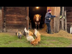 Homesteading Life Cozy Village Life: Cooking a Traditional Family Dinner on our Rustic Farm Stove