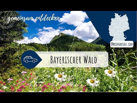 Fascinating Bavarian Forest 🌲⛰️ – Why holidays here are so popular