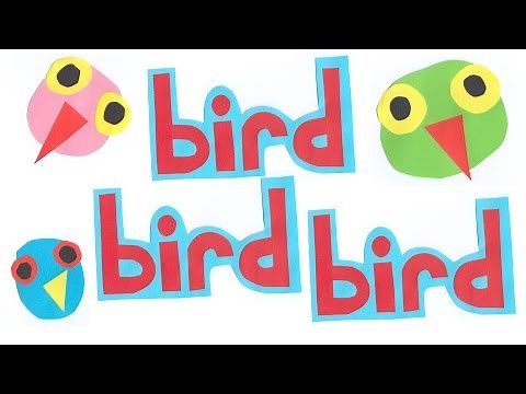 Surfin’ Bird - Bird Is The Word | The Trashmen | Song Lyrics & Dance Video