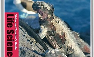 Sorry, we have encountered a problem. - Alexander Street, a ProQuest Company