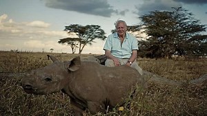 Africa (2013) | WatchDocumentaries.com