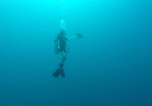 Bachelor of Science - Study - The University of Queensland