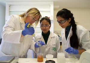 What can you do with a food science degree?