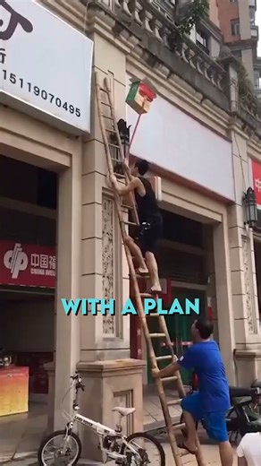 Cat Rescue? Use a box! ❤️ | Wholesome on Shuffle