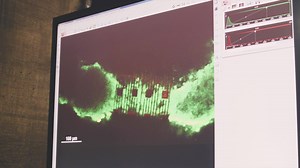 Overcoming a roadblock in the study of electrical cell signaling, scientists have developed biosensor arrays capable of monitoring electrical communication between cells in 3D tissue culture that model the complexity of organs (known as organoids). Such technologies may enable much needed research into the relationship between electrical signals and disease, promoting drug development and treatments for conditions such as arrhythmias (irregular heartbeat). Read more in Science Advances: https://