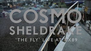 Cosmo Sheldrake 'The Fly' - Live at Sea