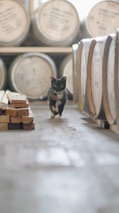 Uncovering the secrets across NY, NJ & CT! Watch all-new episodes Wednesdays at 7:30 pm on News 12 and News 12 New York - https://bit.ly/N12NYWatchNow | News 12