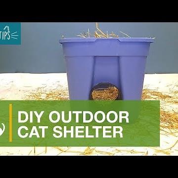Cat Tips: DIY Cat Shelter