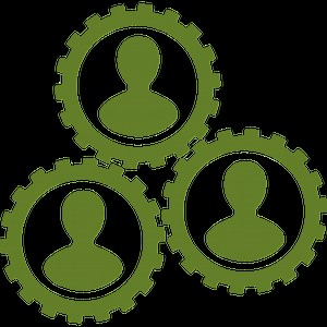 Consulting - Global Learning Partners