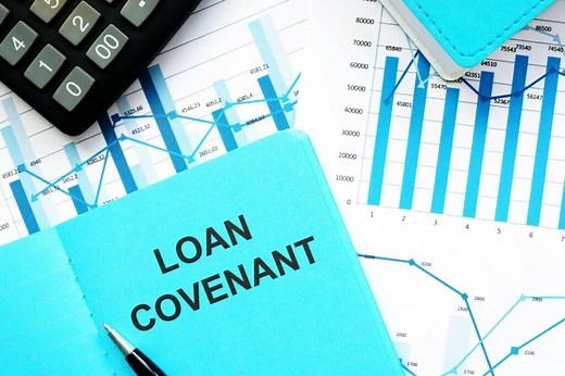 Loan Covenant