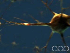 Neuron - 3D Medical Animation || ABP ©