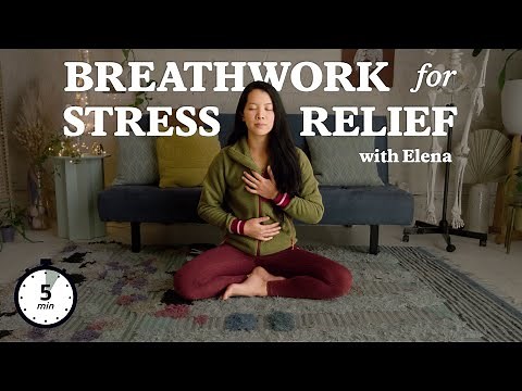 Breathwork for Stress Relief - 5 minutes *follow-along*