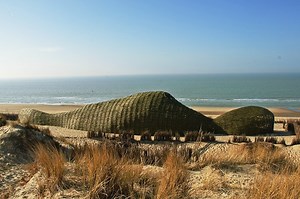 Environmentalism Art - The Importance of Climate Change Art