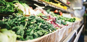 How science and innovation can strengthen global food systems