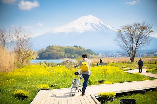 Discover Japan’s 10 most spectacular natural wonders - Lonely Planet